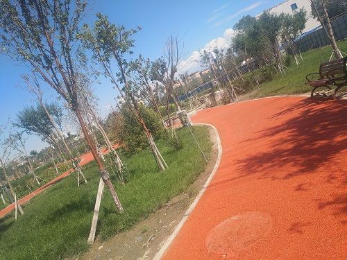 四川泸州古蔺公园城市道路工程设计方案24小时服务