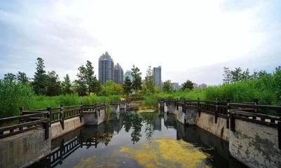 2018大变样!郑州新建47个综合性公园,雨水公园、郑州植物园二期、宠物公园、青少年公园将建成…
