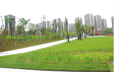 东津沱滨江公园西半段6月中旬将对外开放