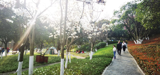发展多元化公园管理 创建城市新功能休闲场所