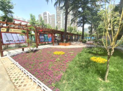 淄博市城市管理局 工作要闻 临淄区闻韶街道共享花园微观再造打通全域公园城市建设“最后一米”
